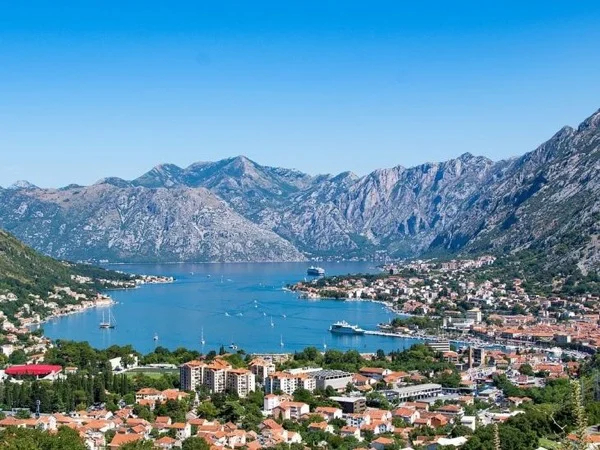 Cover media image