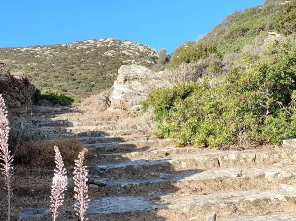 Taste of Sifnos - Express Walking Tour