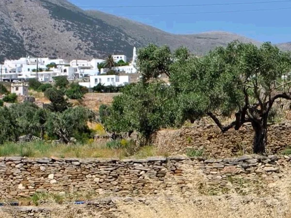 A labyrinth of Settlements - Sifnos Private Tour