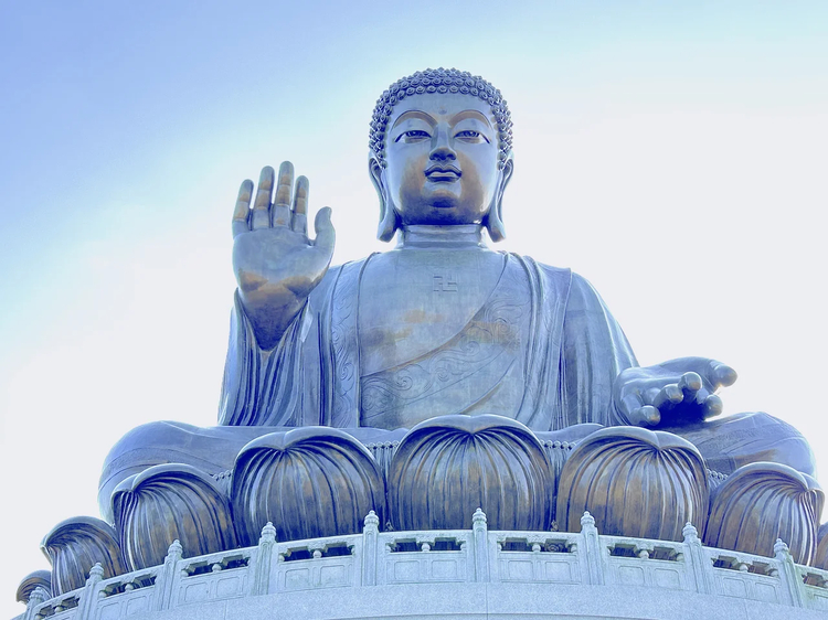 Cover media image