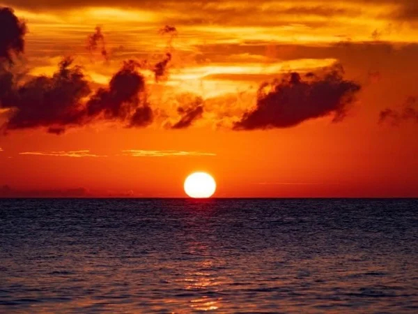 Lake Victoria And It's Surroundings - Private Full Day Tour in Kisumu