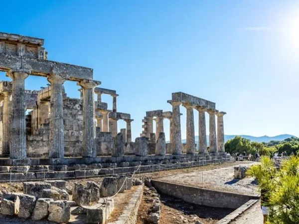 Cover media image