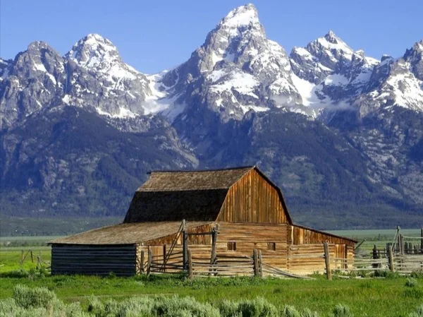 Half Day Grand Teton National Park Tour