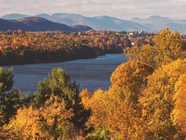 Culinary immersion, historic art, architecture, and music tour