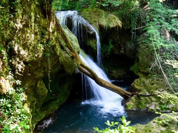 Nera Gorge-Beușnița National Park Private Day Tour