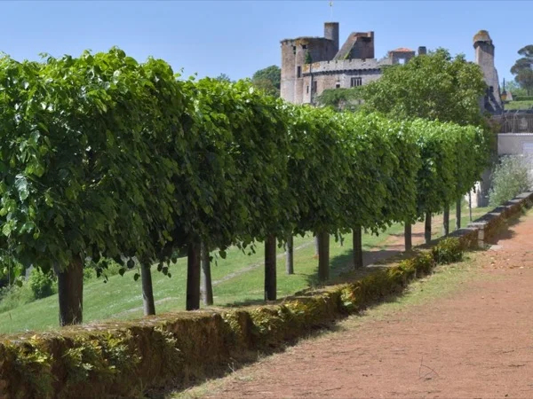 Vineyards of Nantes - Full day private Tour