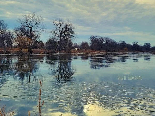 A Walk in Jackson Park