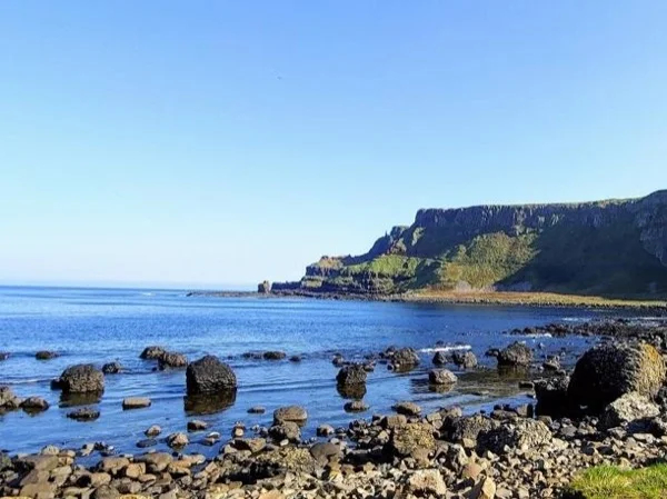 Cover media image