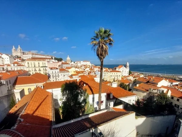 Cover media image