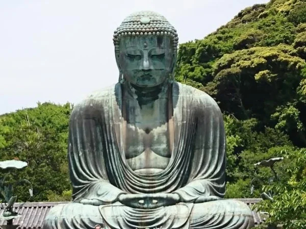 Cover media image