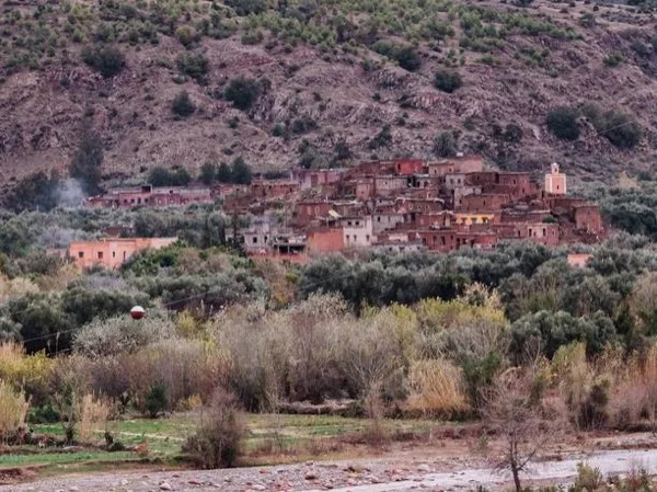 Marrakech Day Trip: Anima Garden, Berber Culture & Atlas Mountains Discovery