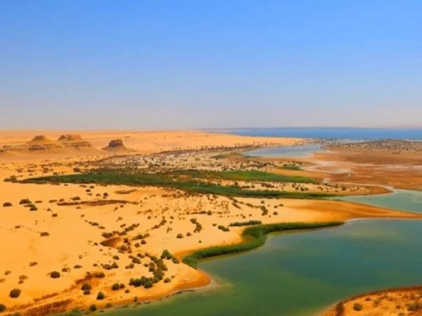 Unforgettable desert safari day at el Fayoum Oasis by 4×4