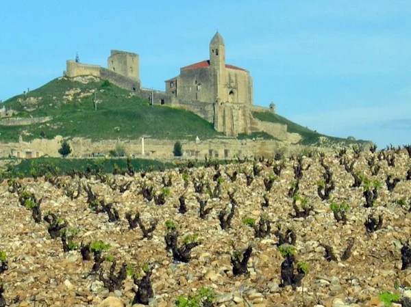La Rioja day trip: nature and wine tasting Tour