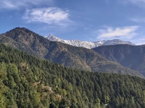 Experience the local cuisine and village life in Dharamshala
