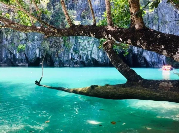 Private Underground River Tour from Puerto Princesa
