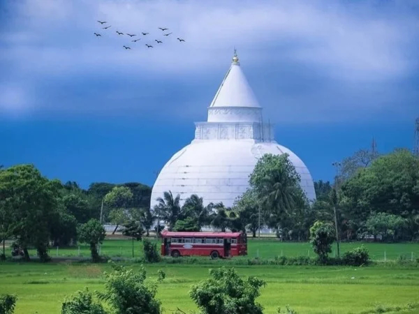 Cover media image