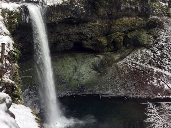 Full Day Silver Falls Hike and Wine Tour