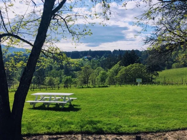 Willamette Valley Wine Tour from Cannon Beach