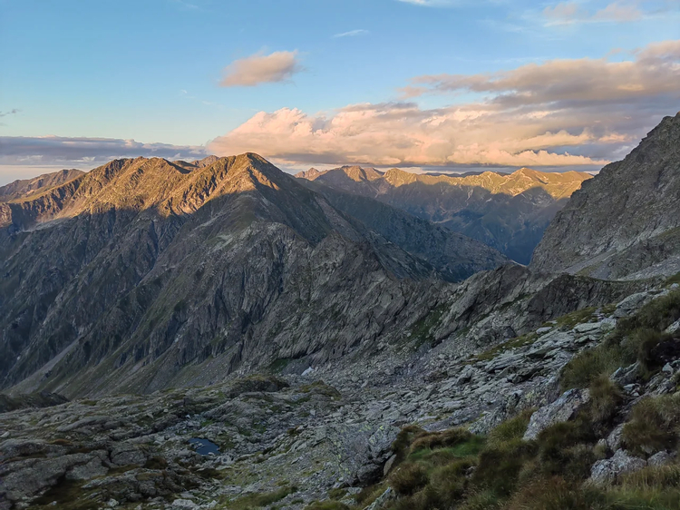 Cover media image