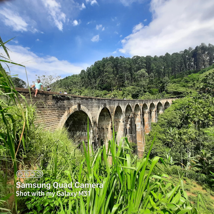 Cover media image