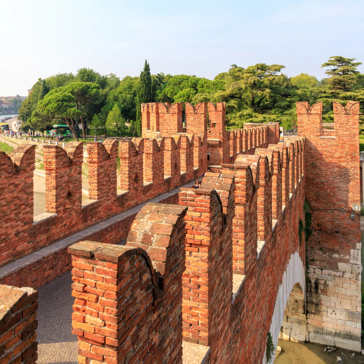 Cover media image