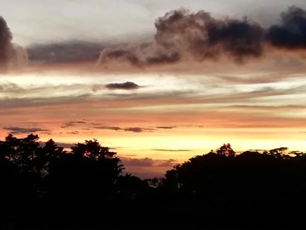 Monteverde Night Tour