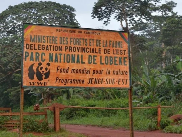 Lobeke National Park - Multi Day Tour from Yaounde