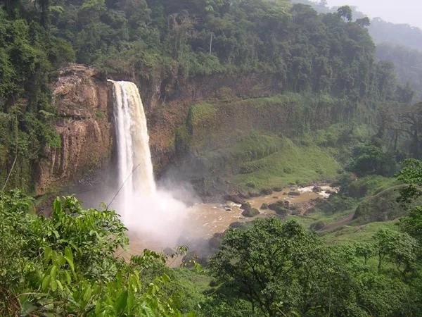 8 days Ekom-Nkam Waterfalls and Mefou National Park Tour from Douala