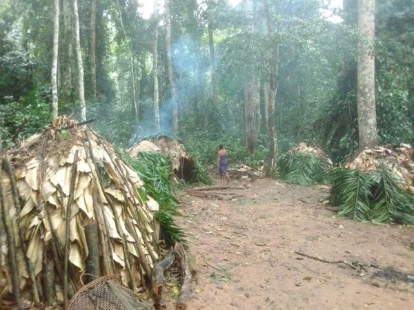 Dja Fauna Reserve - Multi Day Tour from Yaounde