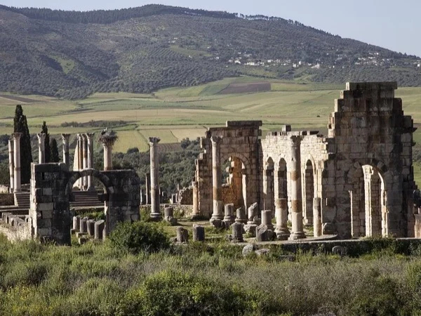 Volubilis, Molay Idriss and Meknes Full-day Tour