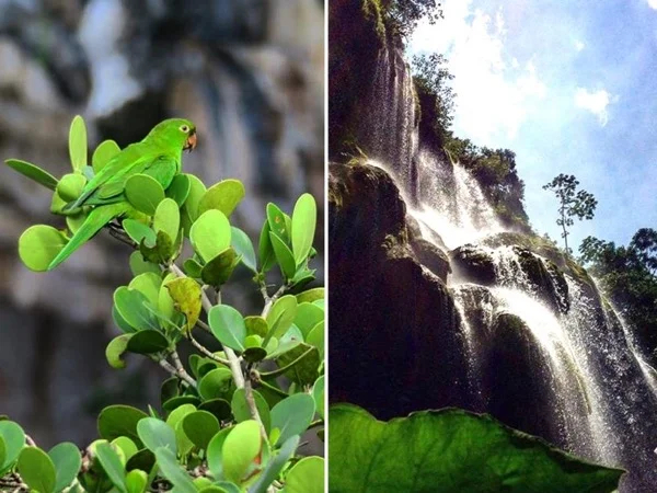 Sinkhole of Parrots and El Aguacero Waterfall