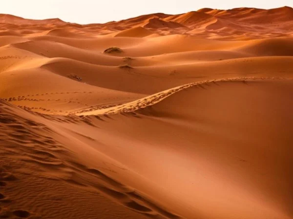 Full-day Adventure with SUV from Erfoud to the Desert Area