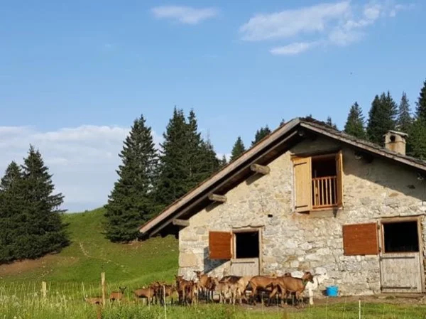 From Chamonix to Aravis Mountain range, my love at first sight, Full Day Tour