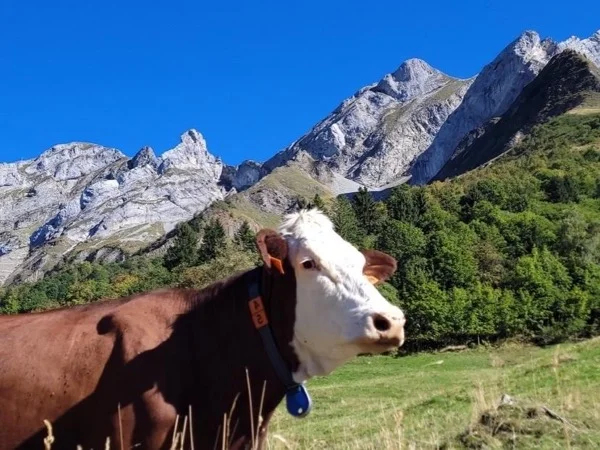 From Annecy to Aravis Mountain range, my love at first sight, Full Day Tour