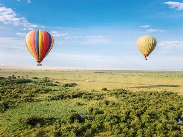 Maasai Mara Game Safari