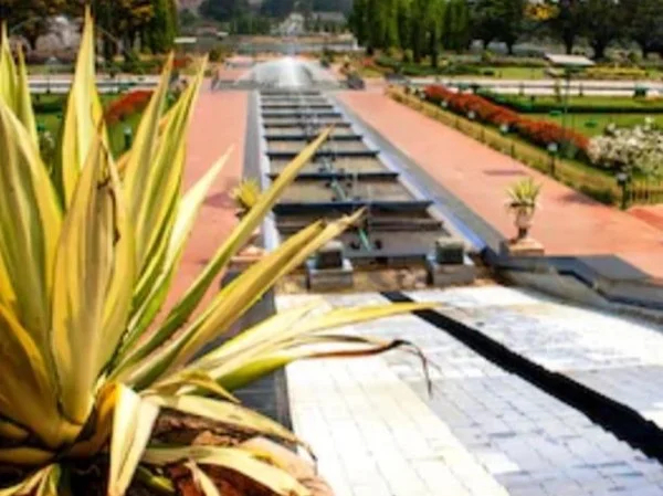 Cover media image