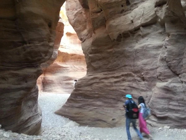 Red Canyon Hiking Half-Day Tour