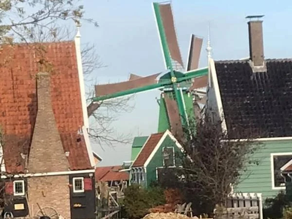 Half Day Netherlands Windmills Tour and Countryside