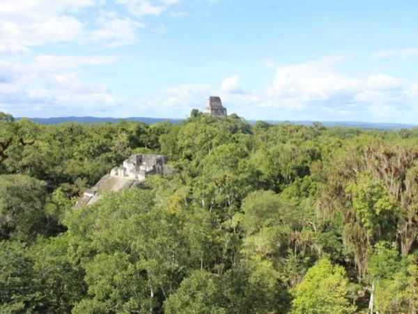 Tikal Archeological Site Private Half Day Tour