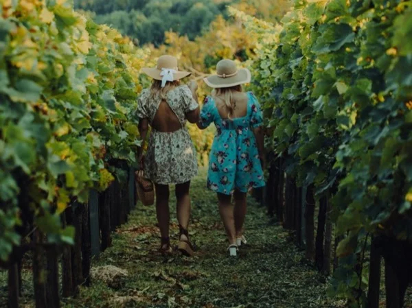 Private wine and food experience starting from Zagreb