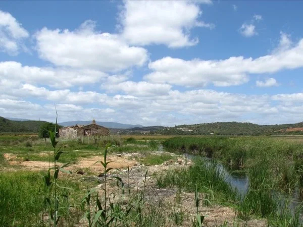 Discover the nature of Fontes of Estombar Half Day Tour