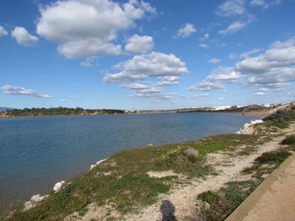 City highlights of Alvor Half Day Tour