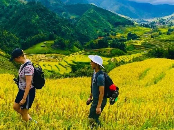 Full Day Private Tour - Hiking Sapa Village and Muong Hoa Valley