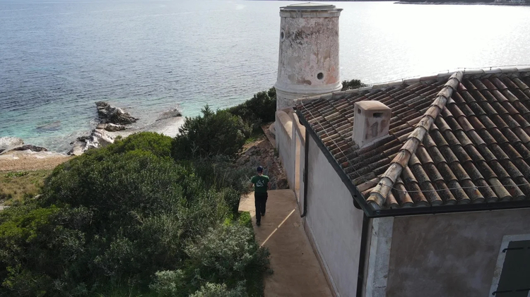 Cover media image