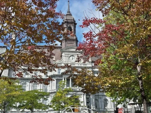 Cover media image