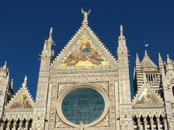 3 hour Siena tour featuring piazza del Campo, Duomo and the Basilica of San Domenico