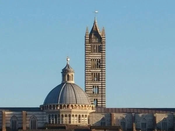 Siena and San Gimignano full day tour with chaufferred car from Florence