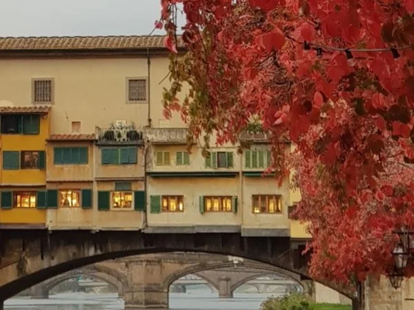 3 hour Florence tour focusing on the 1966 flood