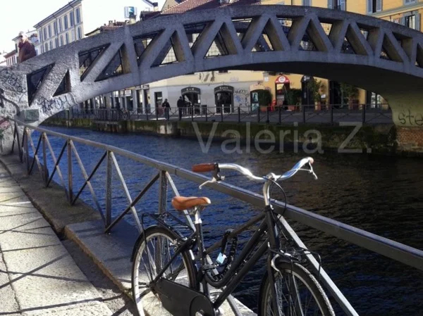 Cover media image