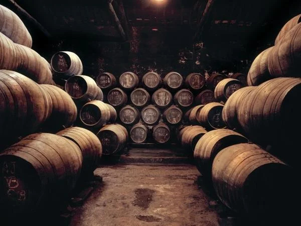 Douro Valley Premium Wine Tasting Private Full Day Tour